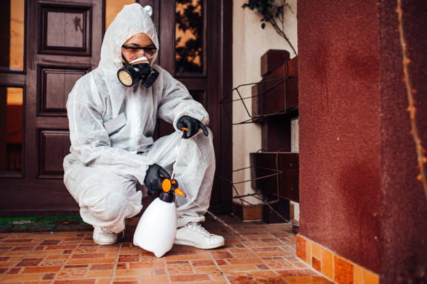 Reliable Bed Bug Control contractor in Osage City, KS by Nex Pest Control